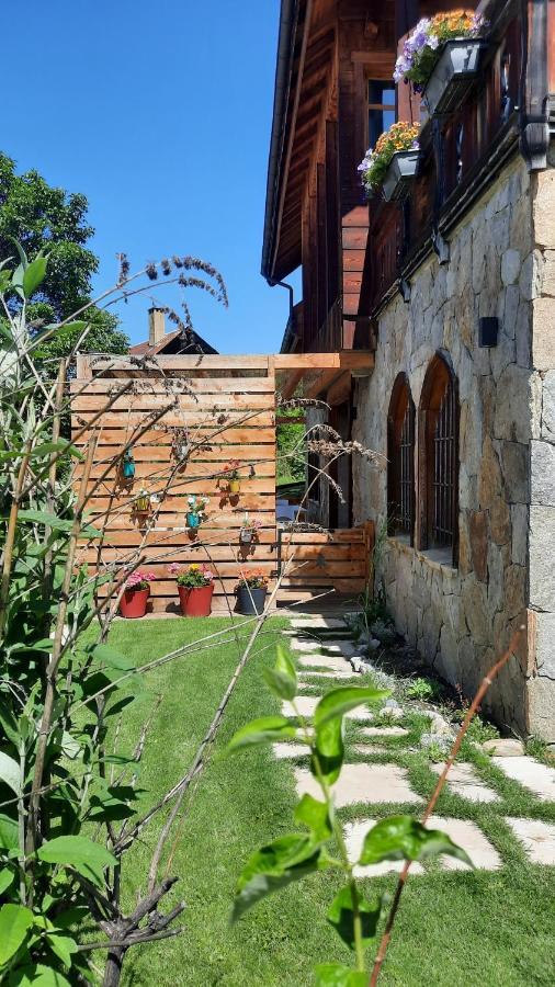 סן-שפרה Chalet Serre Cambeou Piscine&Spa מראה חיצוני תמונה